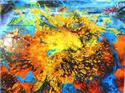 Veranstaltungsbild Actionpainting der Riesenfarbspaß